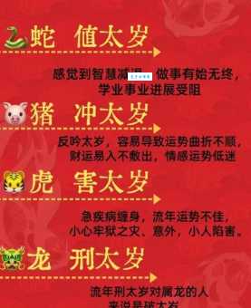 头头是道生肖动物:精准预测哪个生肖?