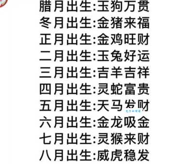身无分文是什么生肖?答案揭晓,快来猜猜看