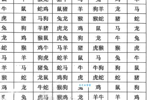 徒劳无功是什么生肖?详解十二生肖的辛酸与无奈!