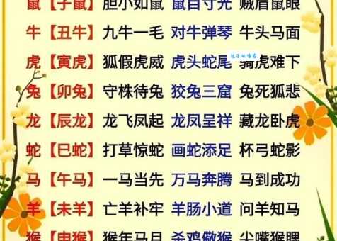 徒劳无功是什么生肖?详解十二生肖的辛酸与无奈!