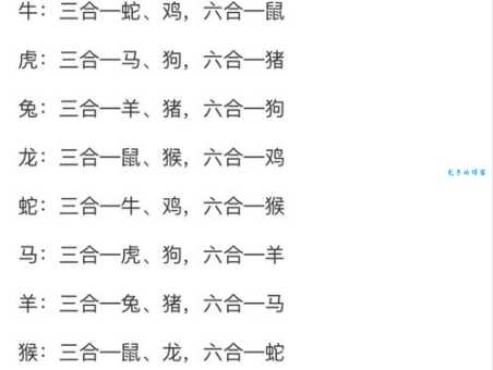 解密小打小闹对应的生肖,你猜对了吗?