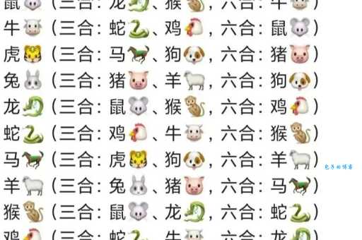 一衣带水对应哪个生肖？速来测试你的生肖知识！