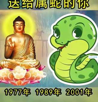 贪婪成性指什么生肖?蛇和龙是答案吗?