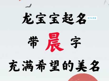 晨光初现是哪个生肖的象征?答案令人惊奇!