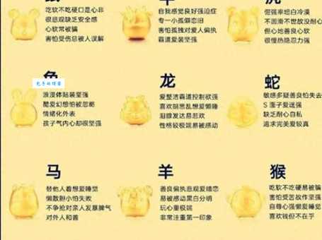 堂堂正正对应哪个生肖?深度解读生肖与性格的关联