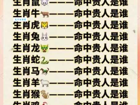 堂堂正正对应哪个生肖?深度解读生肖与性格的关联