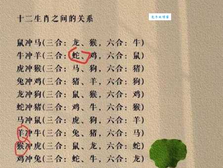 寓意吉祥的生肖:运转乾坤化吉祥指的是谁?