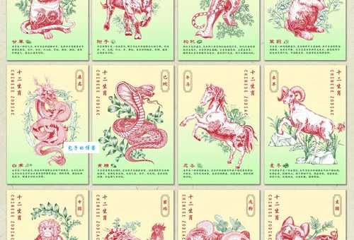 揭秘:妙手回春与十二生肖的关联