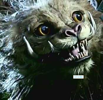 青面獠牙是哪个生肖?详解青面獠牙生肖动物