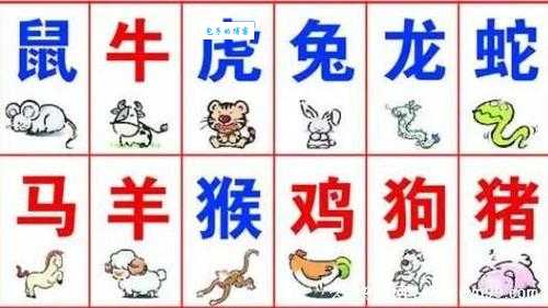战战兢兢是哪种生肖动物?不同说法大比拼