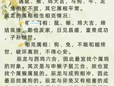 “龙争虎斗”代表什么生肖?你猜对了吗?