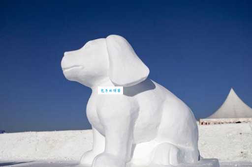 冰瓯雪椀对应哪个生肖？揭秘冰瓯雪椀背后的生肖文化