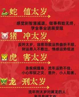 命中注定是乘龙快婿的生肖是哪几个？快来对号入座！