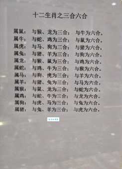 南征北战对应哪个生肖?详解古代战争与生肖的关联