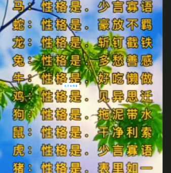 走投无路是什么生肖?揭秘十二生肖中的困境动物