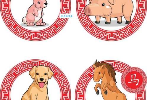 想知道义结金兰指哪个生肖？这篇告诉你答案