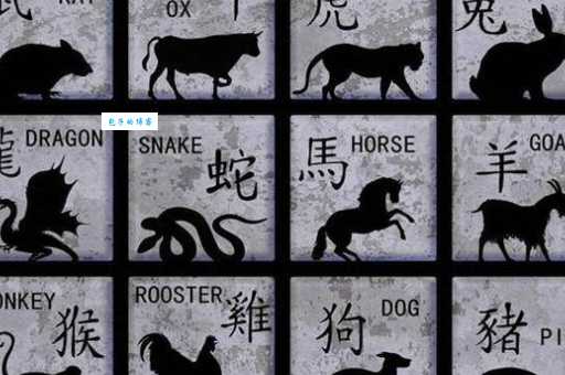 肥田沃地是什么生肖?揭秘隐藏的生肖动物