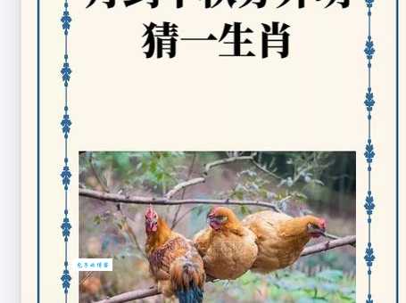 聪明题：文质彬彬猜一生肖，你会吗？