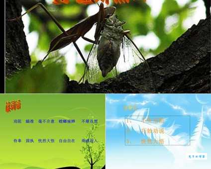 螳螂捕蝉打一生肖，这道题你绝对想不到！