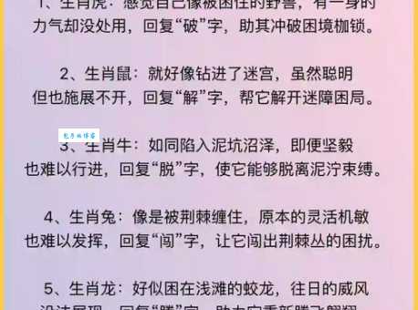 那些心宽体胖的生肖动物有哪些?深度解析生肖性格
