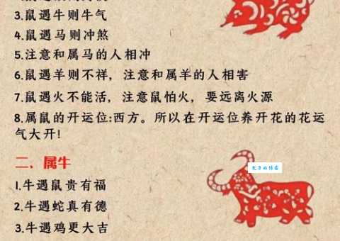 锦绣前程是哪个生肖的象征?详解生肖与前程的关系