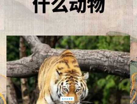 你知道“故家子弟”是什么意思吗？一文带你了解