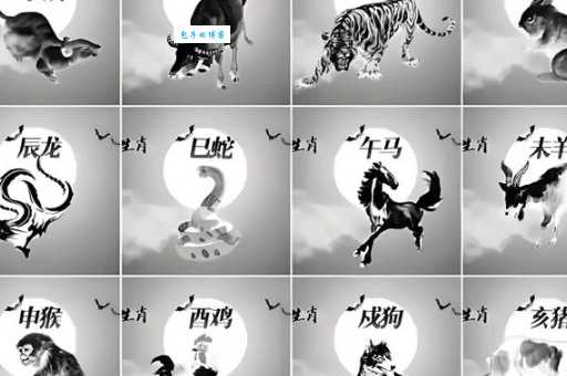 揭秘:秀外慧中究竟指的是哪些生肖?
