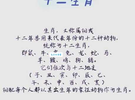 哪个生肖最符合历历在目？揭秘生肖与回忆能力的联系
