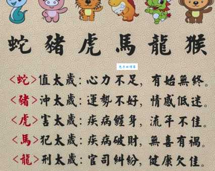 哪个生肖最符合历历在目?揭秘生肖与回忆能力的联系
