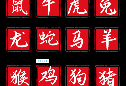 牛刀小试是什么生肖?这几个生肖最符合!