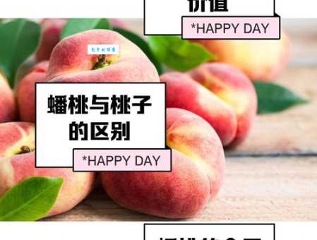 蟠桃宴打一成语是什么?答案揭晓,轻松学会!