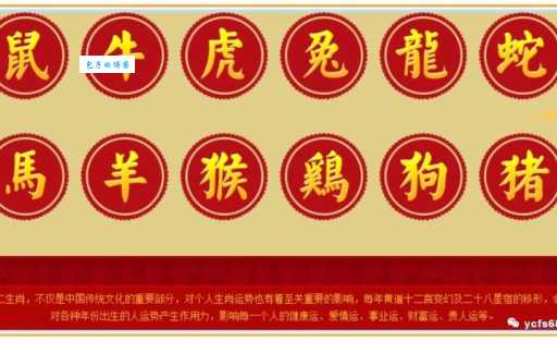 火上浇油对应哪个生肖？谜底让你大吃一惊