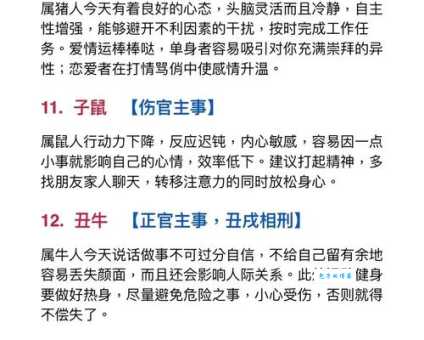 九天之外指什么生肖?答案揭晓,让你大吃一惊!