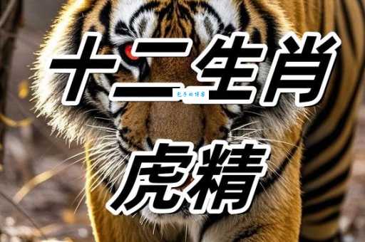 你知道虎头虎脑代表什么生肖吗？几个生肖都符合？