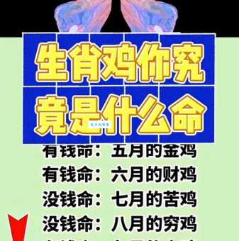 解开谜底：望尘莫及究竟是哪个生肖？