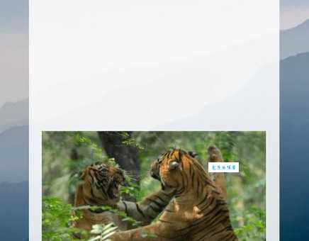 “人中之龙”打一生肖，你猜对了吗？