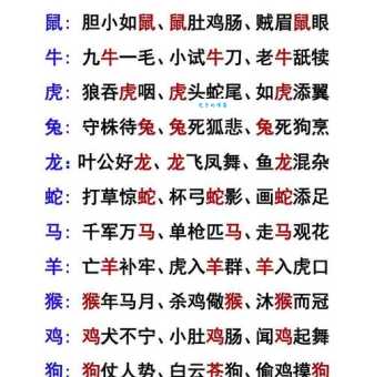 鸟语花香代表哪个生肖？寓意美好，你猜对了吗？