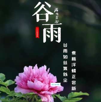 绵绵春雨润万物,到底是什么生肖?