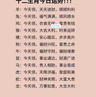 满腹经纶打一生肖是什么?看看这些生肖的聪明才智