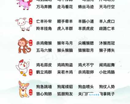 乱七八糟是什么生肖？解读生肖与词语的关联