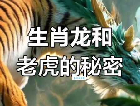 老虎、龙还是其他？威名四方究竟是什么生肖？