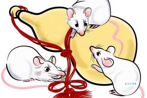 老虎、龙还是其他?威名四方究竟是什么生肖?