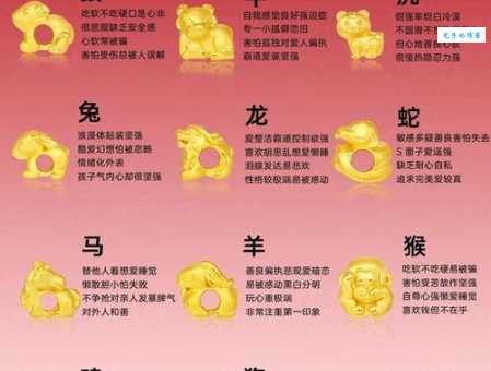 九霄云外是什么生肖动物?带你探索神秘的答案!