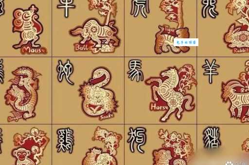 块儿八毛是什么生肖?民间说法大揭秘!