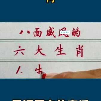 盘点那些威风凛凛的生肖动物,你最喜欢哪个?