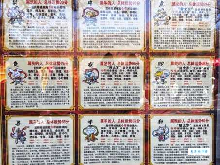 大兴土木是什么生肖？解谜生肖与建筑的秘密！
