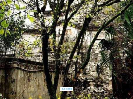 帝城凤阙是什么生肖?解读古代建筑中的生肖密码