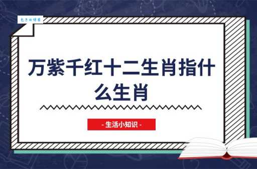 临渊结网究竟指什么生肖?精准答案及分析!