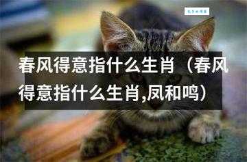 哪个生肖最春风得意?深度解读春风得意生肖