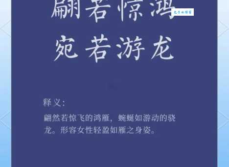 飞燕游龙指的是哪个生肖?揭开谜底,一探究竟!
